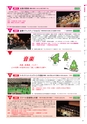 第29回 国民文化祭・あきた2014「公式ガイドブック」