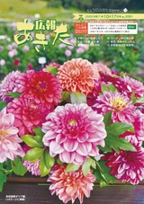 広報あきた2025年10月17日号